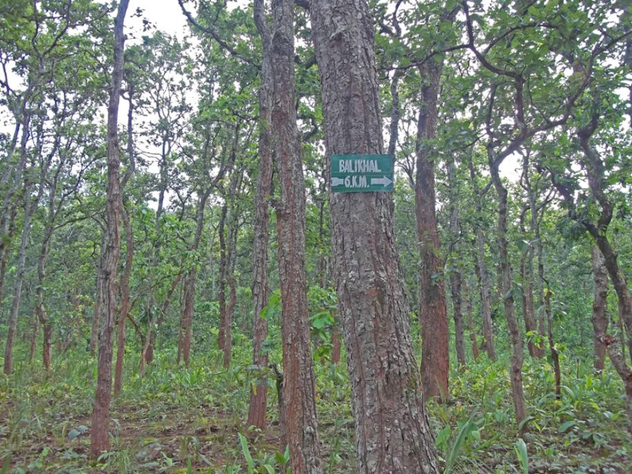 Similipal national park