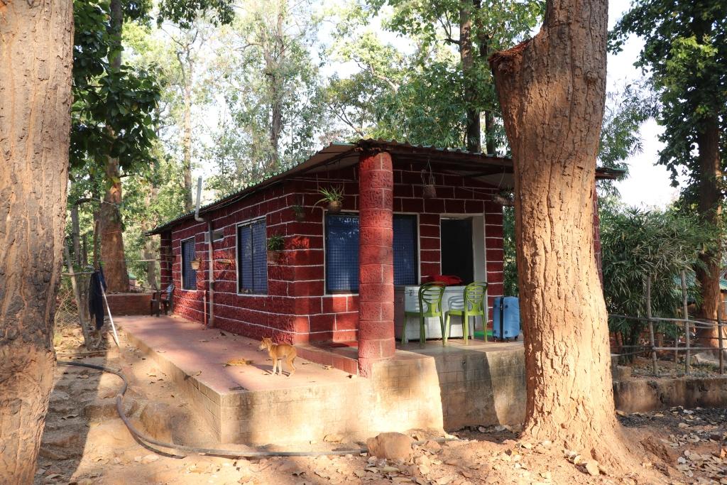 Accomodation in Sitakund forest resort inside Similipal is luxurious those tourist who are comming to visit Siimilipal National Park.